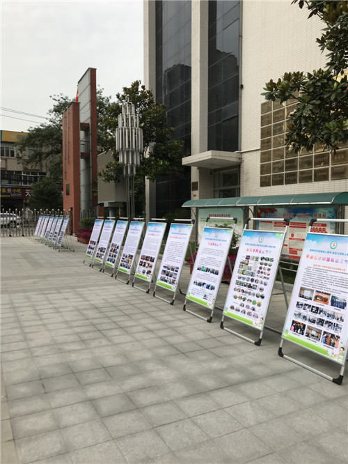 电子pg下载入口