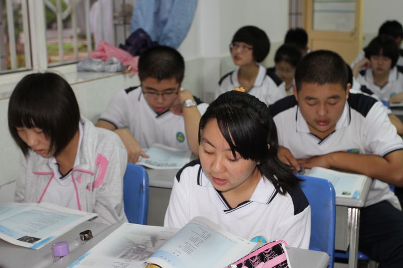 电子pg下载入口