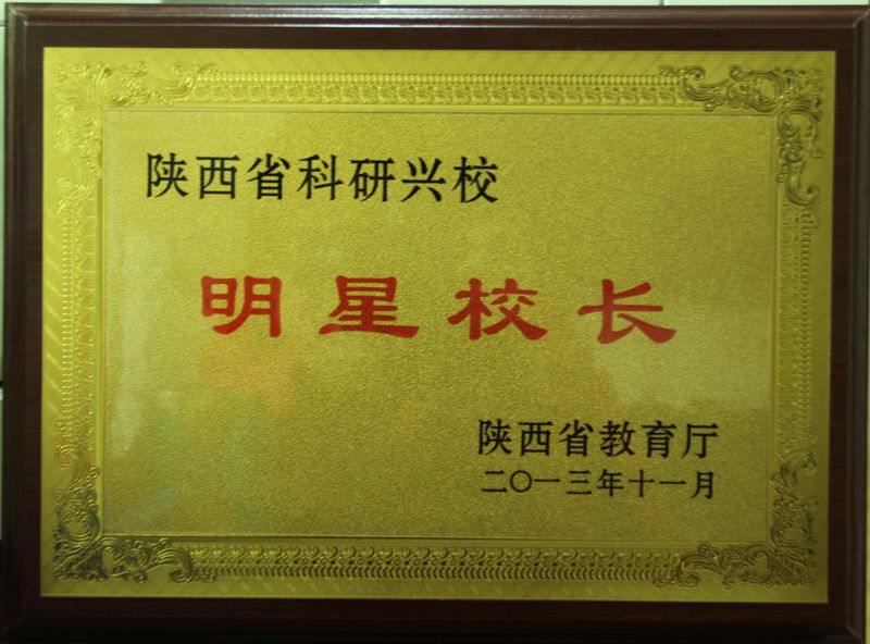电子pg下载入口