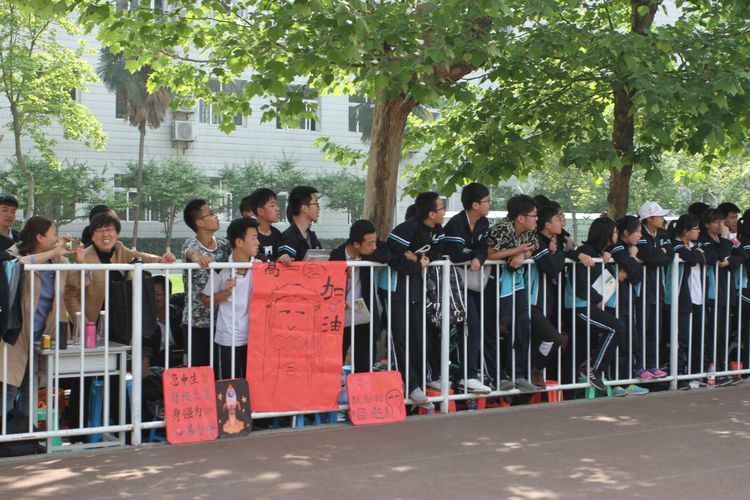 电子pg下载入口