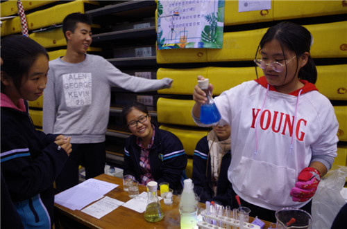 电子pg下载入口