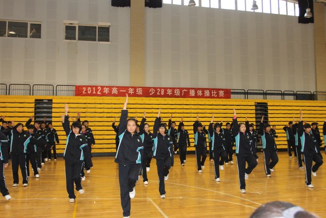电子pg下载入口