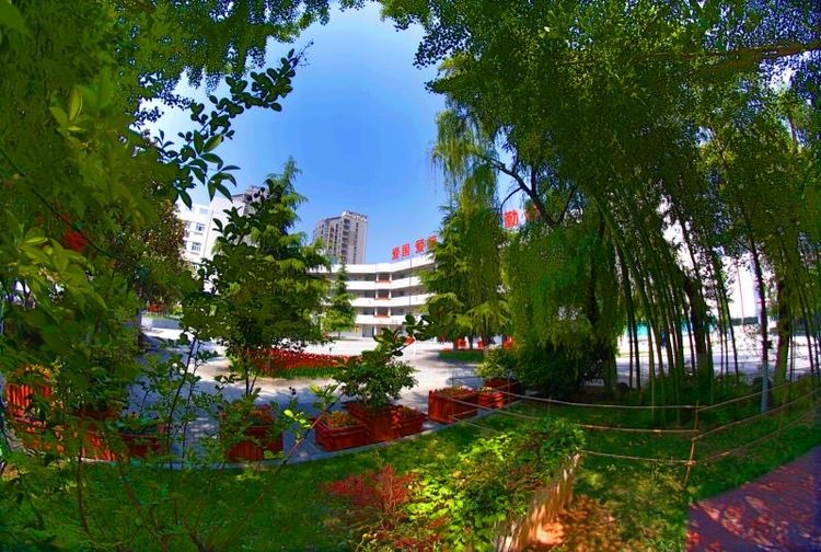 电子pg下载入口