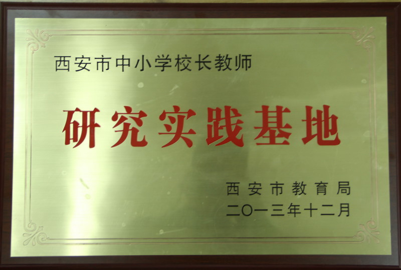 电子pg下载入口