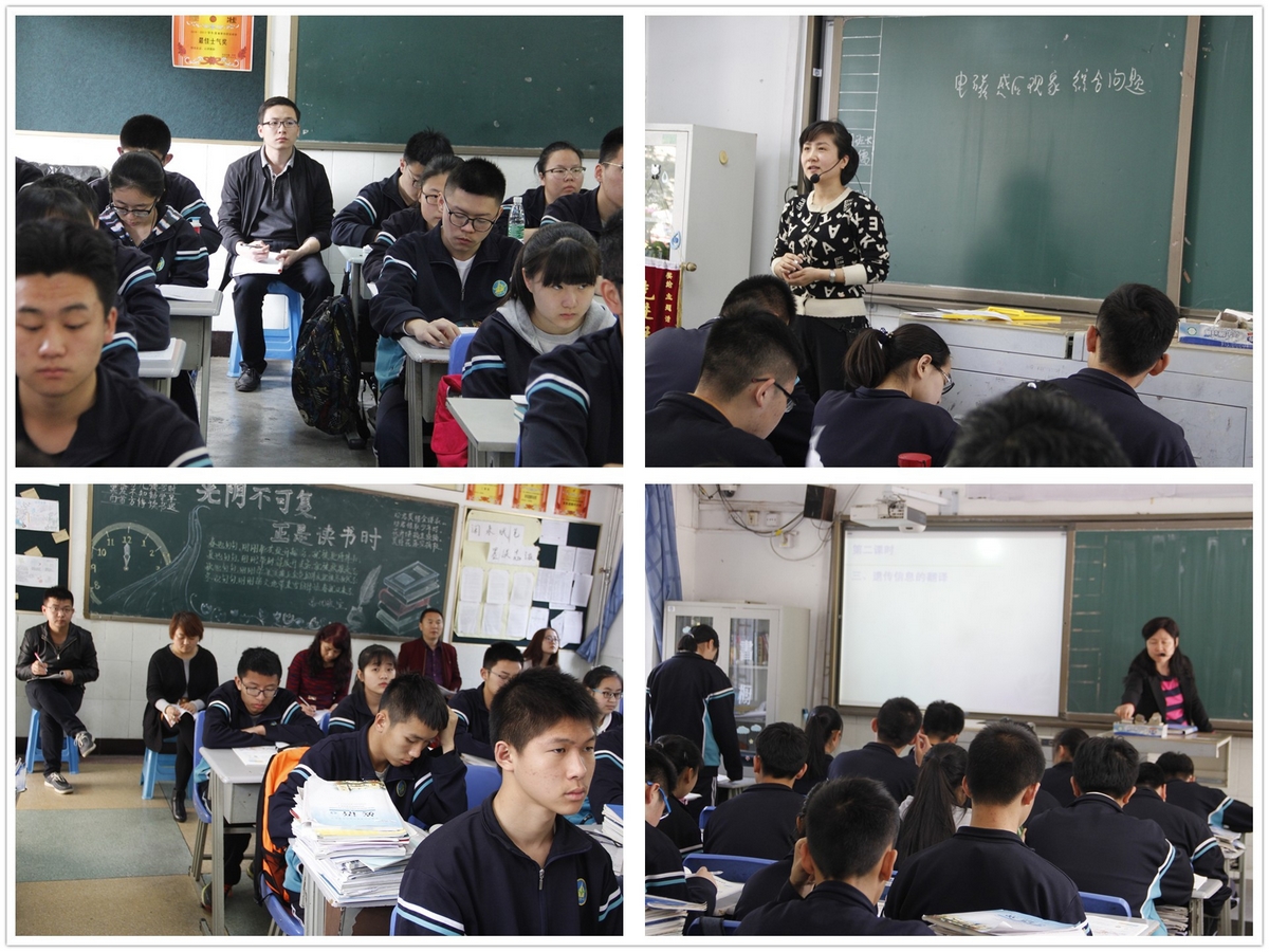 电子pg下载入口