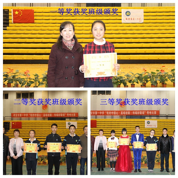 电子pg下载入口