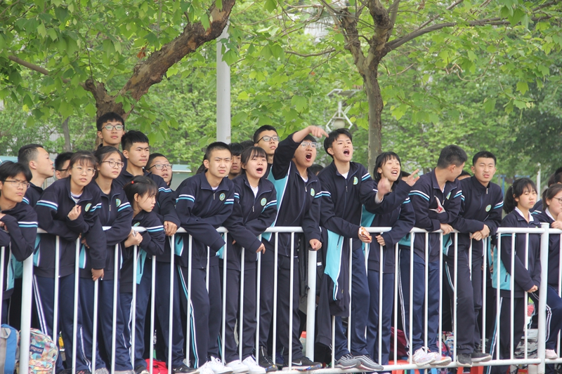 电子pg下载入口