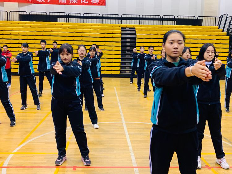 电子pg下载入口