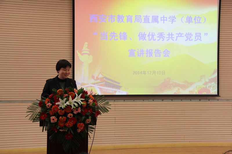 电子pg下载入口