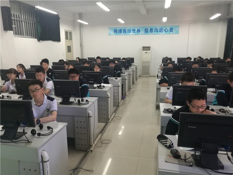电子pg下载入口