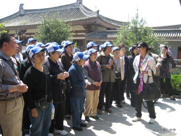 电子pg下载入口