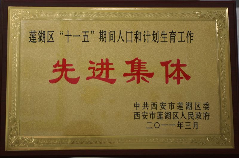 电子pg下载入口