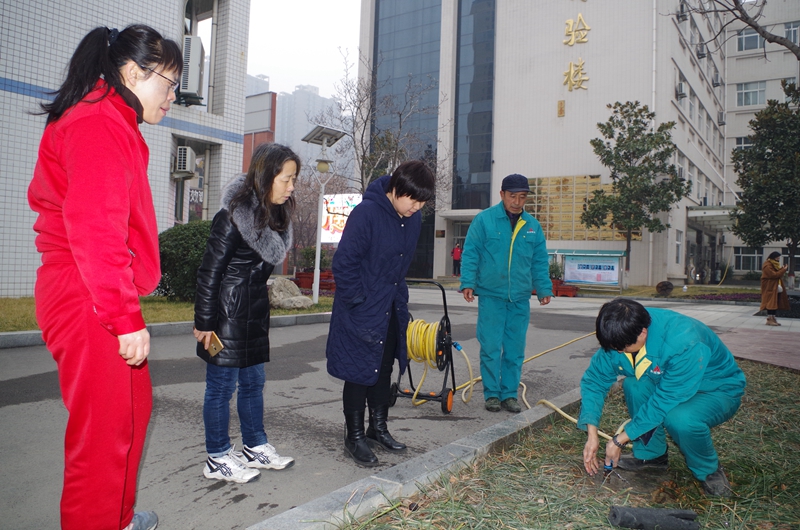电子pg下载入口