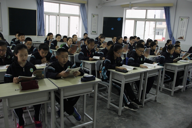 电子pg下载入口