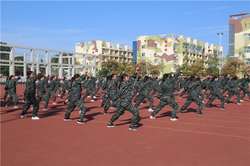 电子pg下载入口