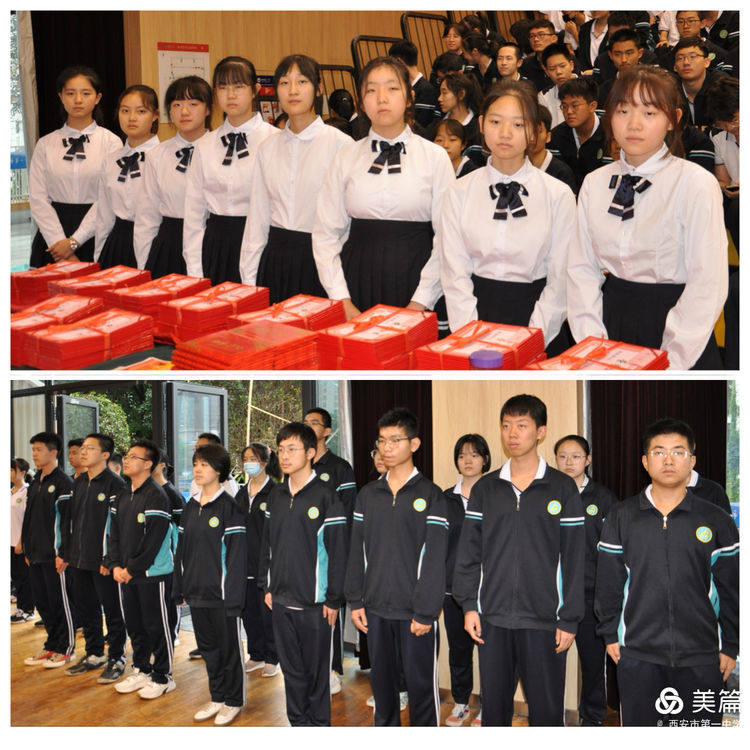 电子pg下载入口