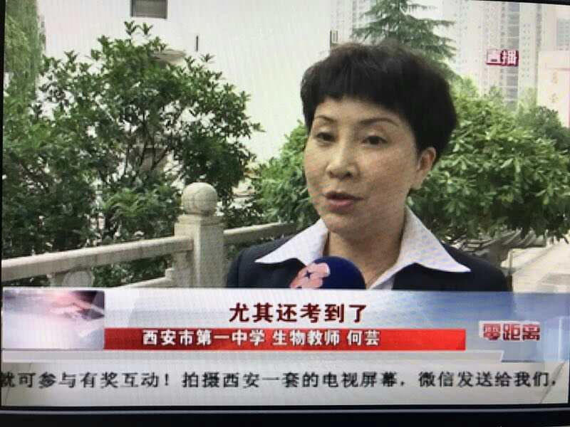 电子pg下载入口