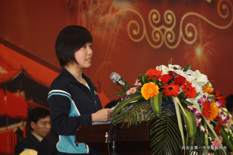 电子pg下载入口