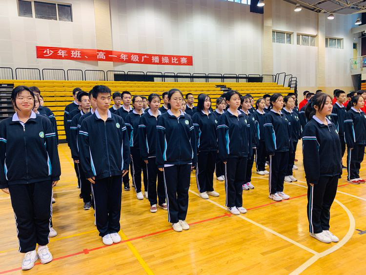 电子pg下载入口