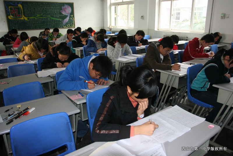 电子pg下载入口