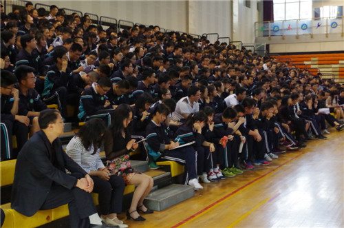 电子pg下载入口