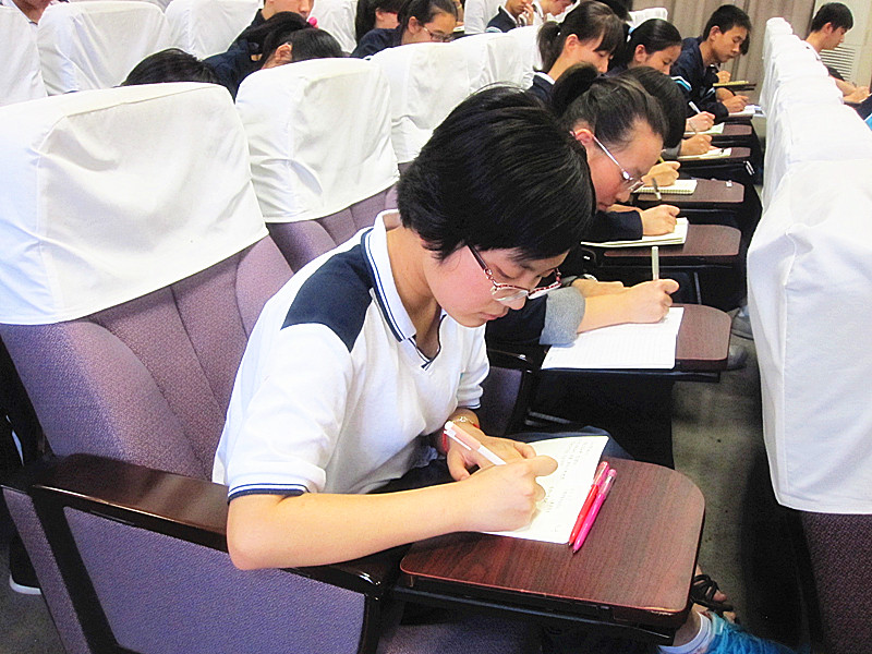 电子pg下载入口