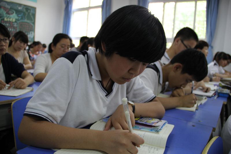 电子pg下载入口