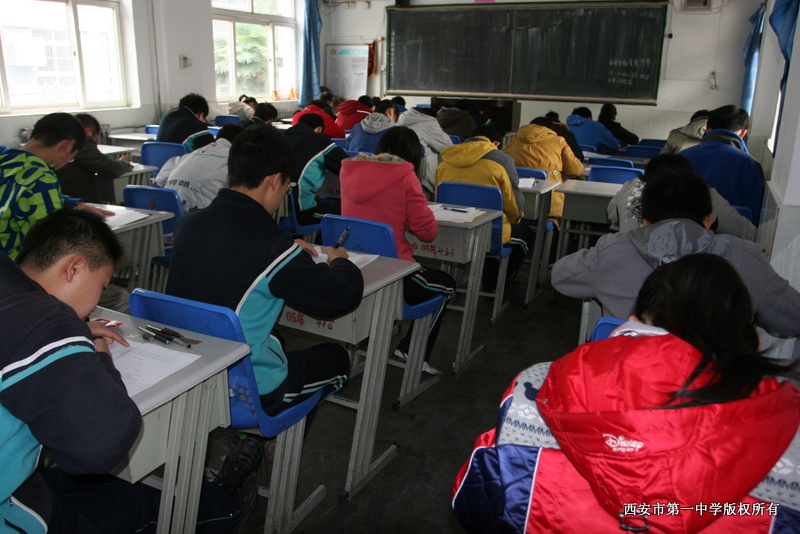 电子pg下载入口