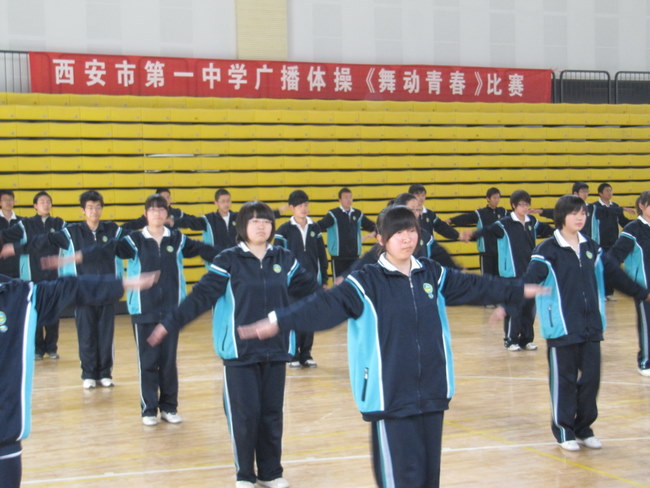 电子pg下载入口