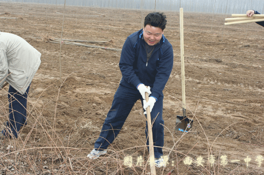 电子pg下载入口
