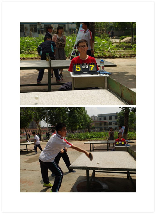 电子pg下载入口