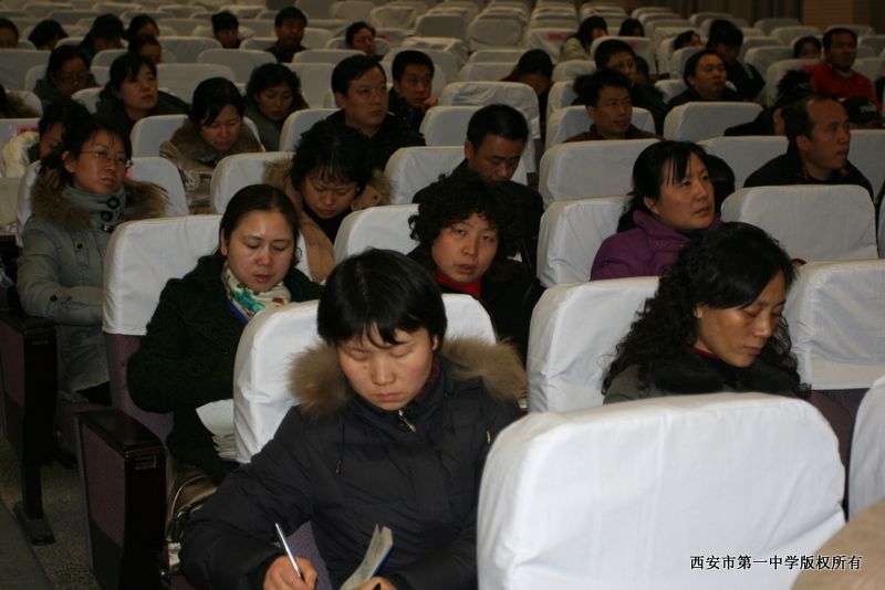 电子pg下载入口