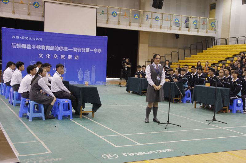 电子pg下载入口