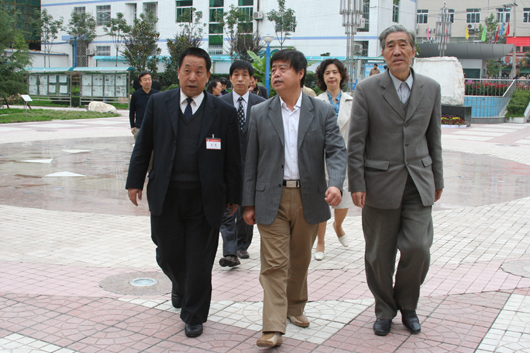 电子pg下载入口