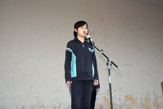 电子pg下载入口