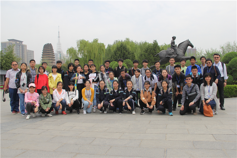 电子pg下载入口