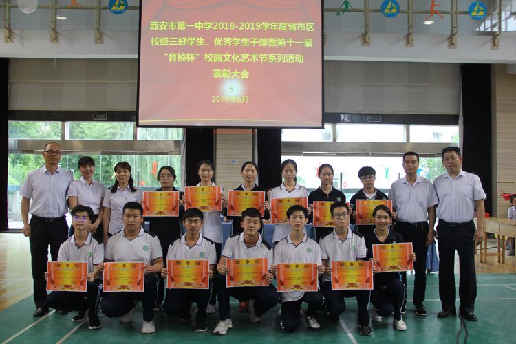 电子pg下载入口