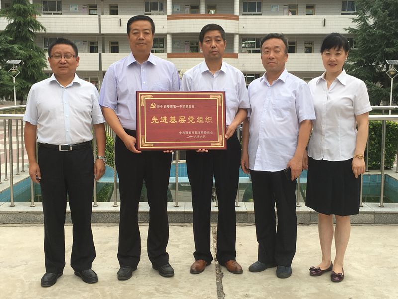 电子pg下载入口