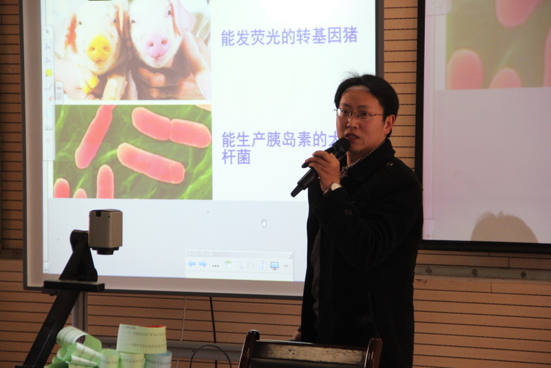 电子pg下载入口