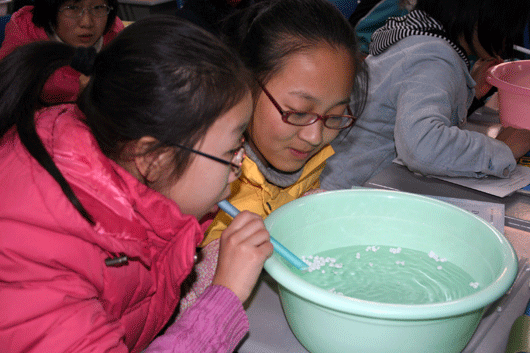 电子pg下载入口