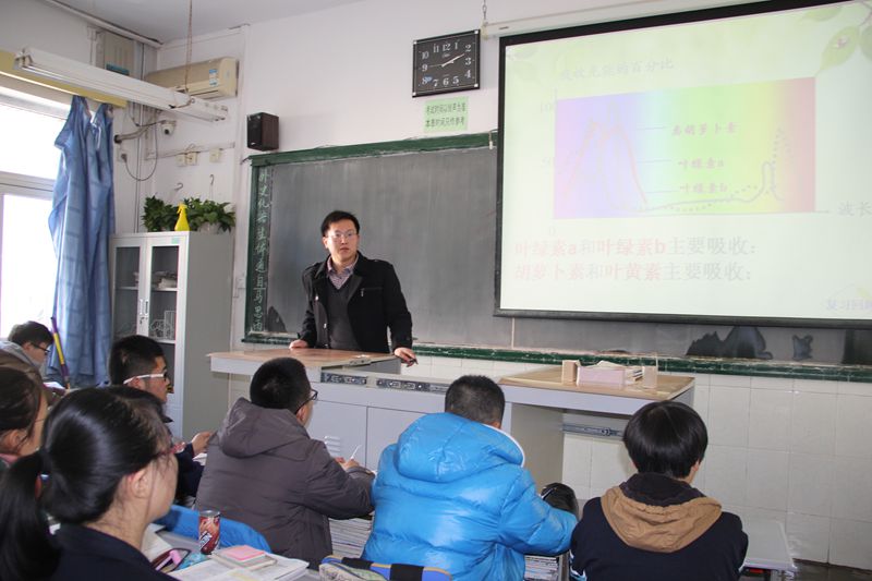 电子pg下载入口