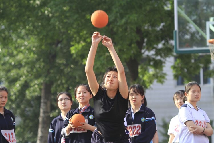 电子pg下载入口