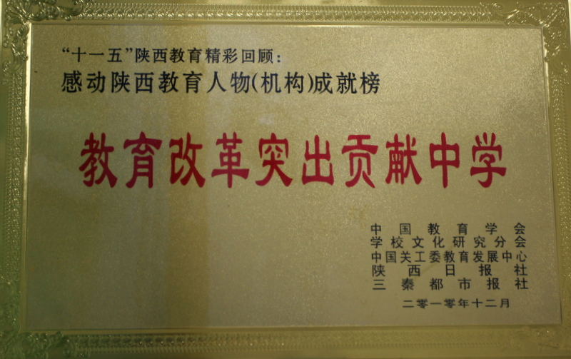 电子pg下载入口