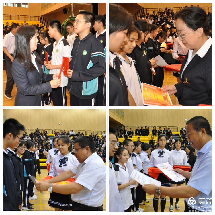 电子pg下载入口