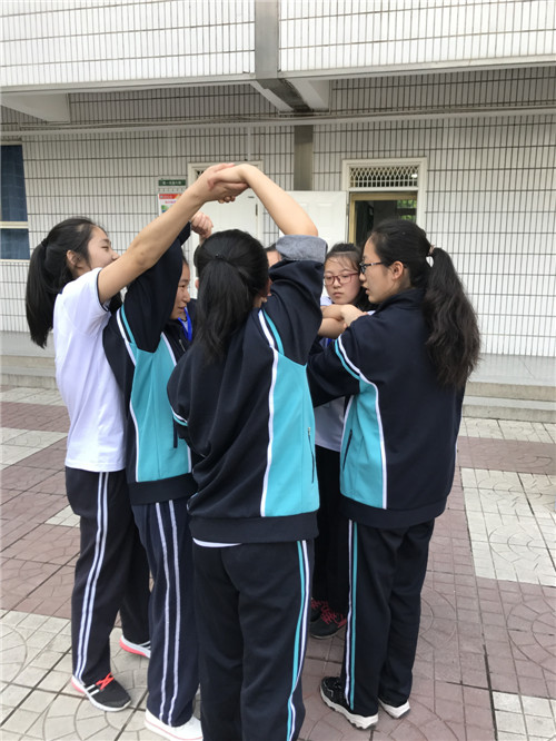 电子pg下载入口