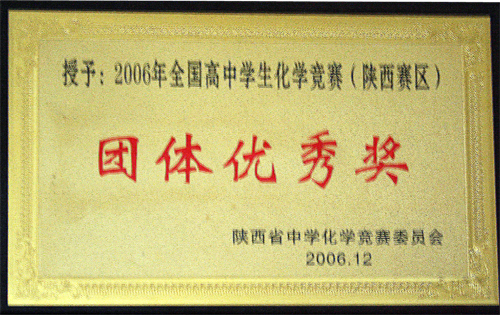 电子pg下载入口