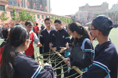 电子pg下载入口