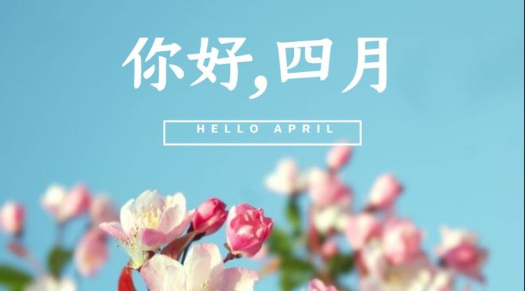 电子pg下载入口