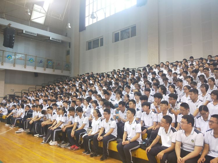 电子pg下载入口