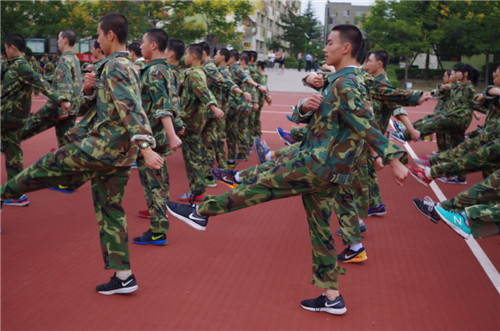 电子pg下载入口